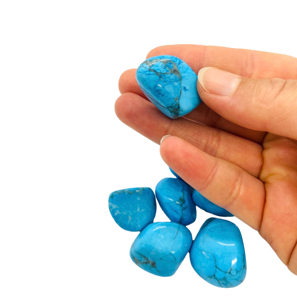 Blue Howlite Tumbles